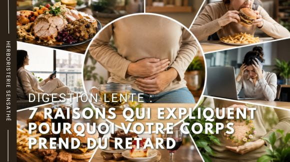 Digestion lente  7 raisons qui expliquent pourquoi votre corps prend du retard - Herboristerie Sensathé